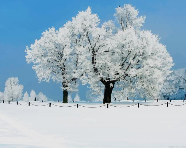 Beautiful Winter Snow New Painting By Numberss.png