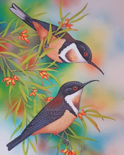 Bee Hummingbirds Painting By Numbers.png