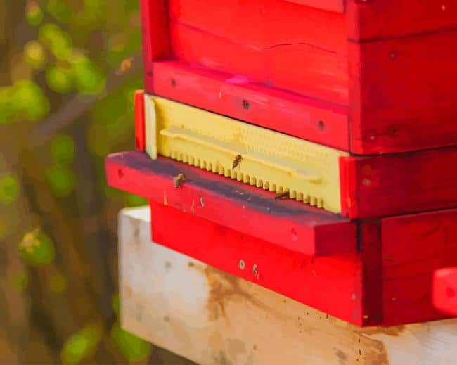 Bees In A Red Box New Painting By Numberss.png