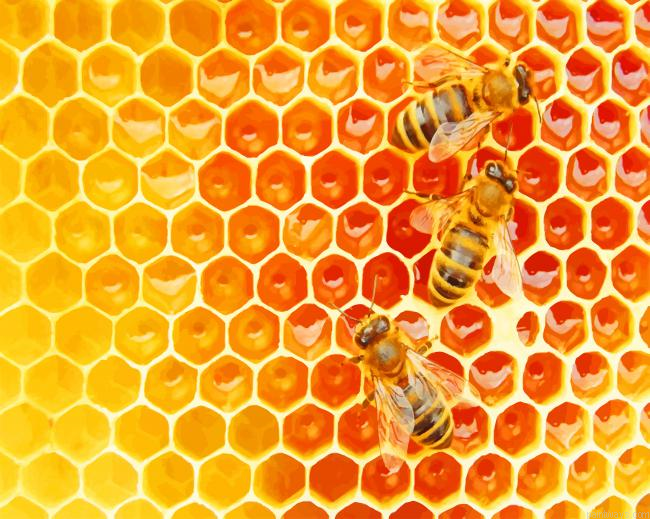Bees In The Hive New Painting By Numberss.png
