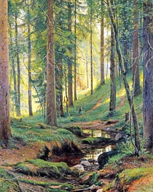 Best View In Forest New Painting By Numberss.png