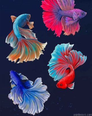 Betta Fishes Vector Painting By Numbers.png