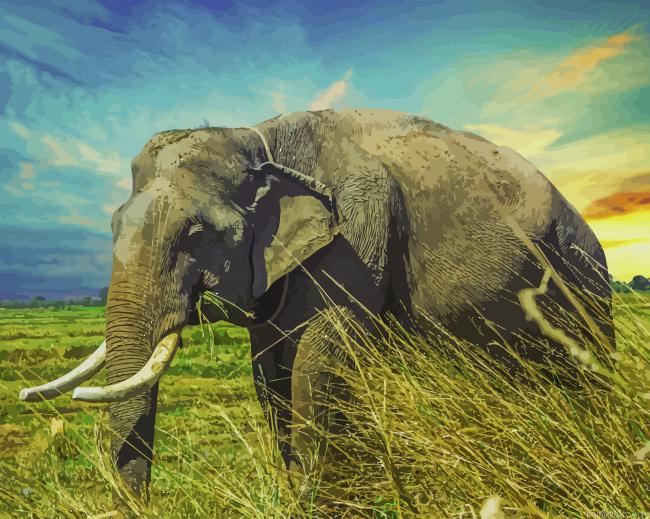 Big Elephant New Painting By Numberss.png
