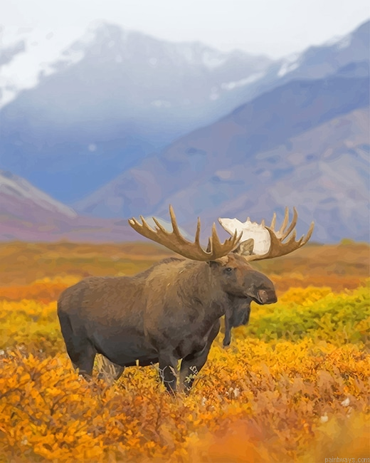 Big Moose New Painting By Numberss.png