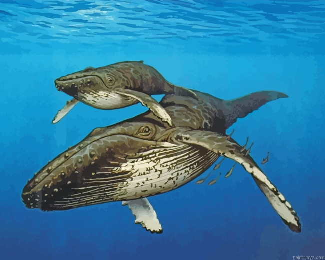 Big Whales Painting By Numbers.png