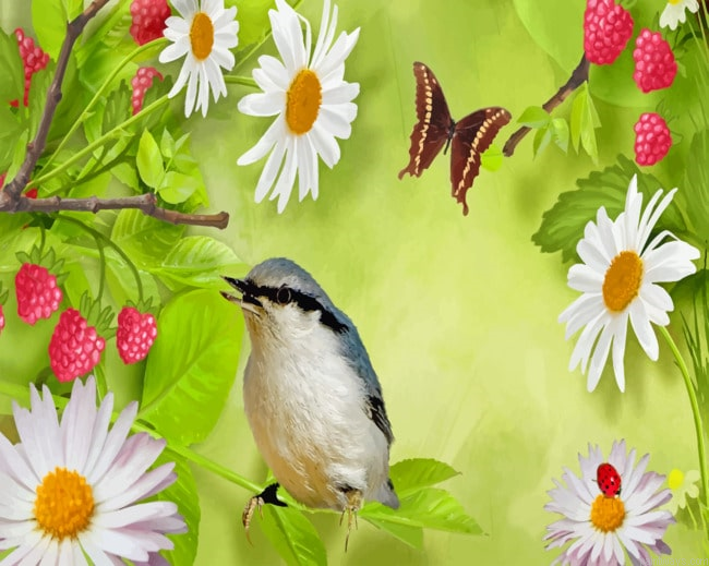 Bird And Butterfly Painting By Numberss.png