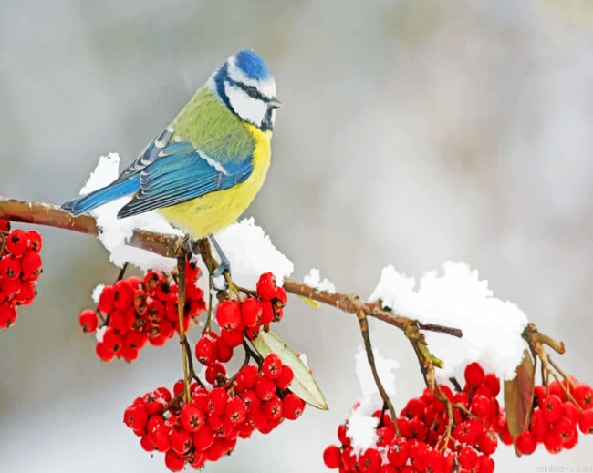 Bird In Snow Painting By Numberss.png