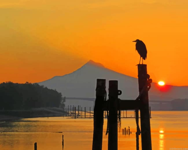 Bird In Sunset Silhouette Painting By Numberss.png