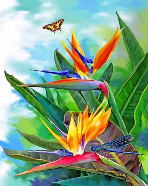 Bird Of Paradise And Butterfly Painting By Numbers.png