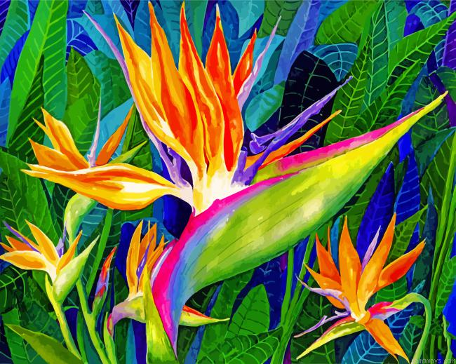 Bird Of Paradise Art Painting By Numbers.png