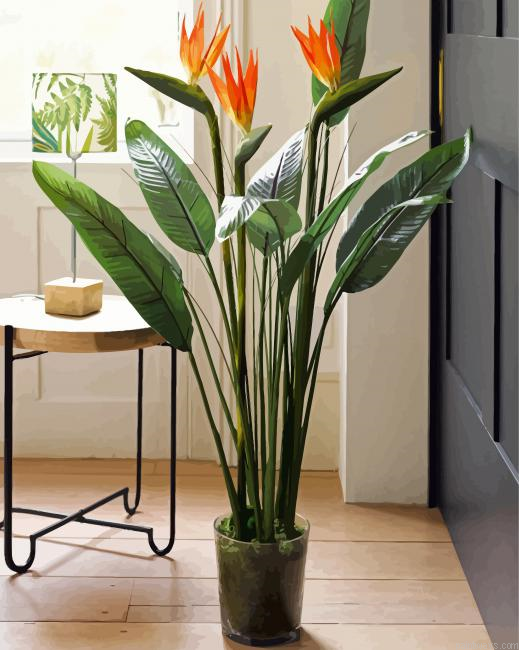 Bird Of Paradise In Pot Painting By Numberss.png