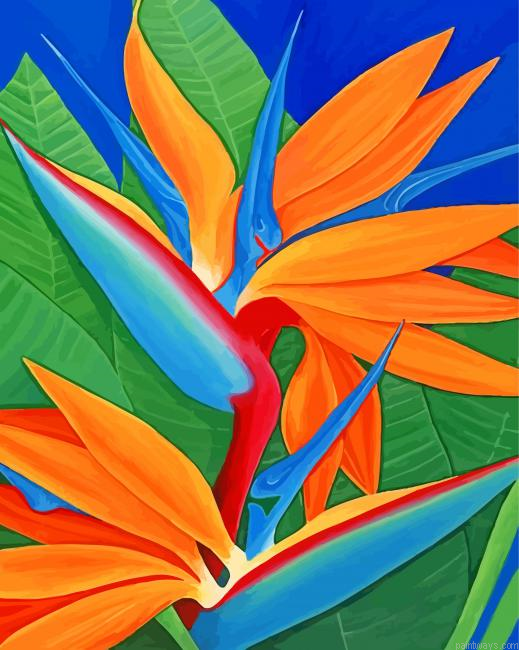 Bird Of Paradise Plant Painting By Numbers.png