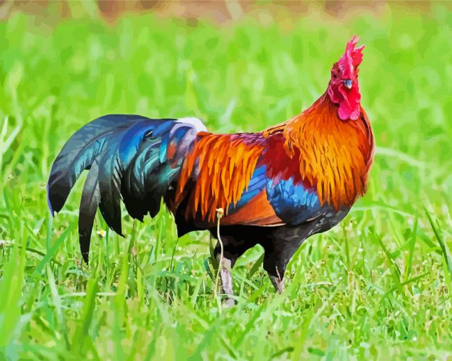 Bird Rooster Painting By Numberss.png