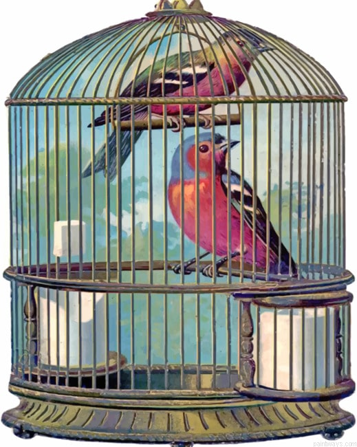 Birds Cage Painting By Numberss.png