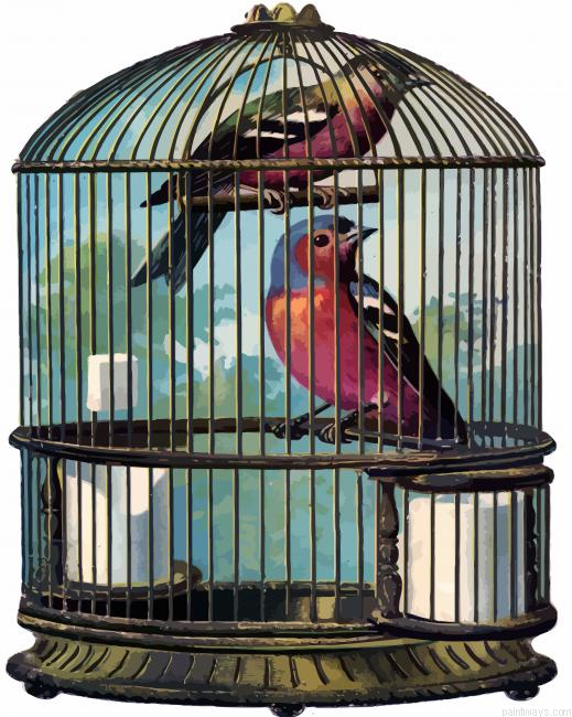 Birds In Cage Painting By Numberss.png