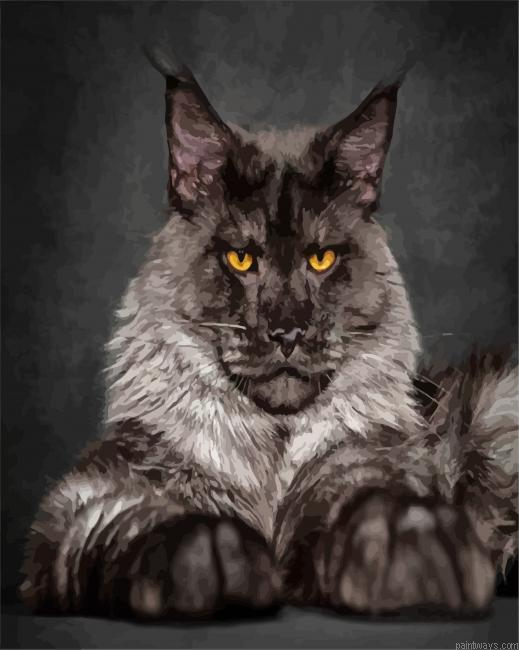 Black And Grey Maine Coon Painting By Numberss.png