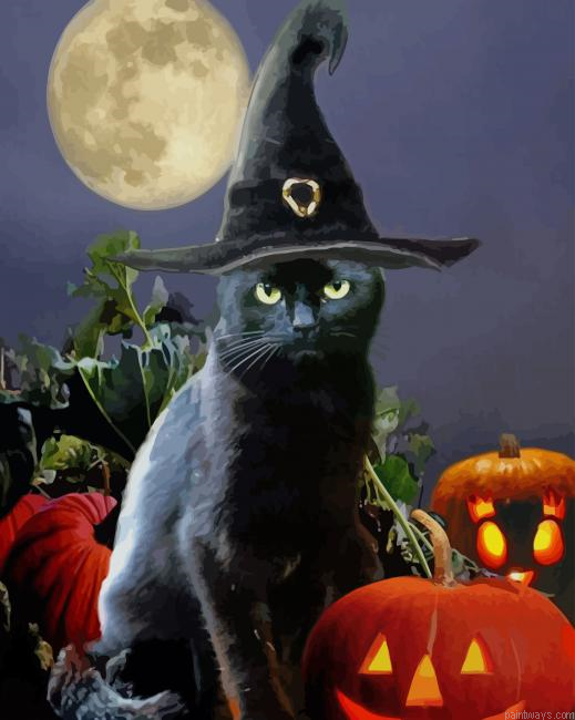 Black Cat Halloween New Painting By Numberss.png