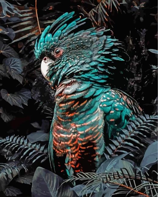 Black Cockatoo Painting By Numbers.png