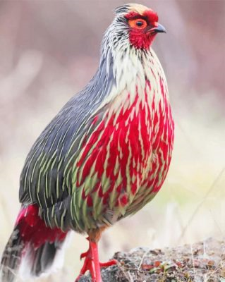 Blood Pheasant Painting By Numbers.png