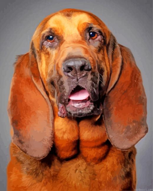Bloodhound Dog Painting By Numbers.png