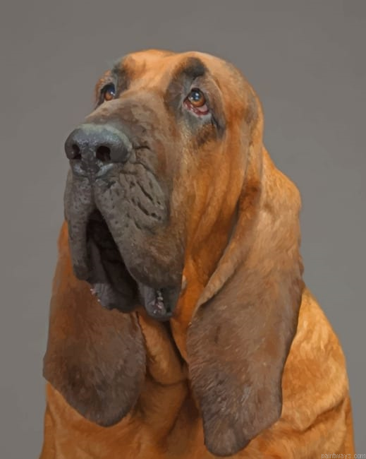 Bloodhound Painting By Numbers.png