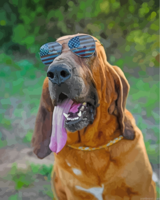 Bloodhound With Sunglasses Painting By Numbers.png