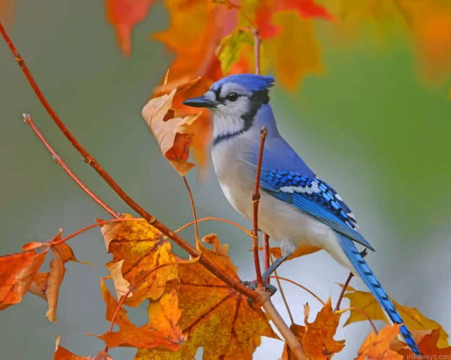 Blue Bird On A Tree Painting By Numberss.png