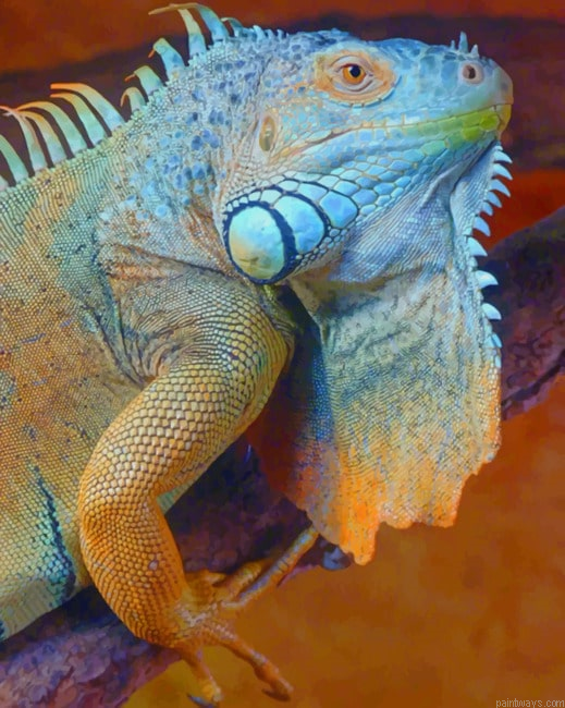 Blue Iguana Turning Brown Painting By Numberss.png