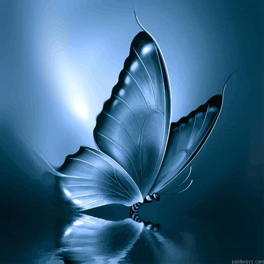 Blue Light Butterfly New Painting By Numberss.png