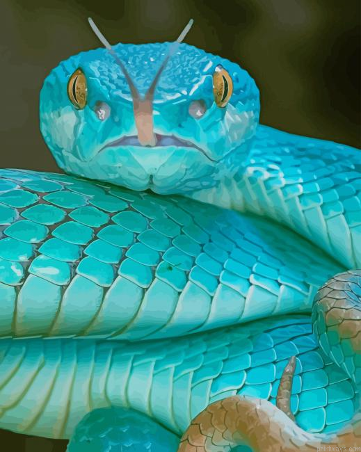 Blue Snake New Painting By Numberss.png