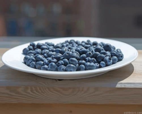 Blueberry Plate On Patio Painting By Numbers.png