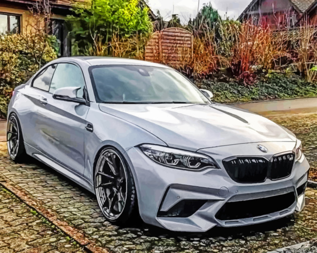 Bmw M2 Cars Painting By Numberss.png