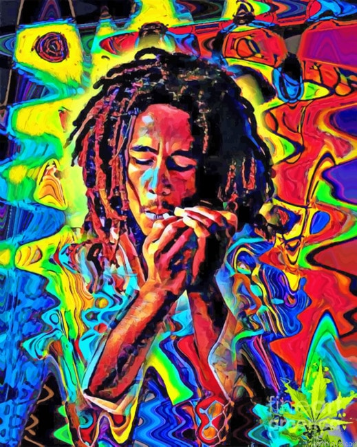 Bob Marley Pop Art Painting By Numberss.png