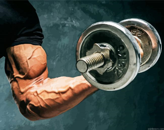 Bodybuilder Strength Man Painting By Numberss.png