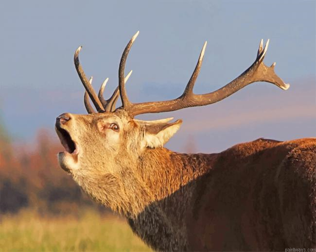 Bolving Stag Portrait New Painting By Numberss.png