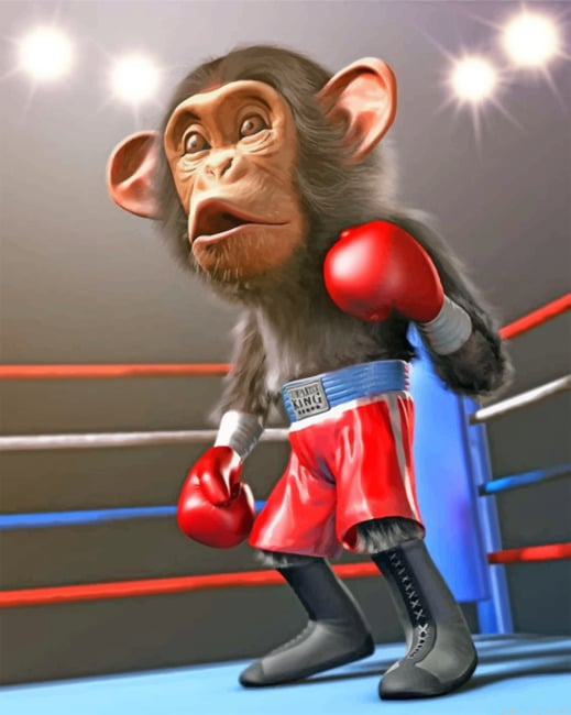 Boxer Monkey Animals Painting By Numberss.png