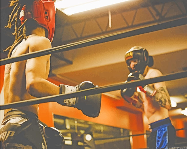 Boxing New Painting By Numberss.png