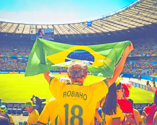 Brazil Stadium Painting By Numberss.png