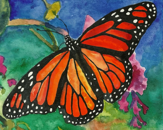 Bright Orange Butterfly Insects Painting By Numberss.png