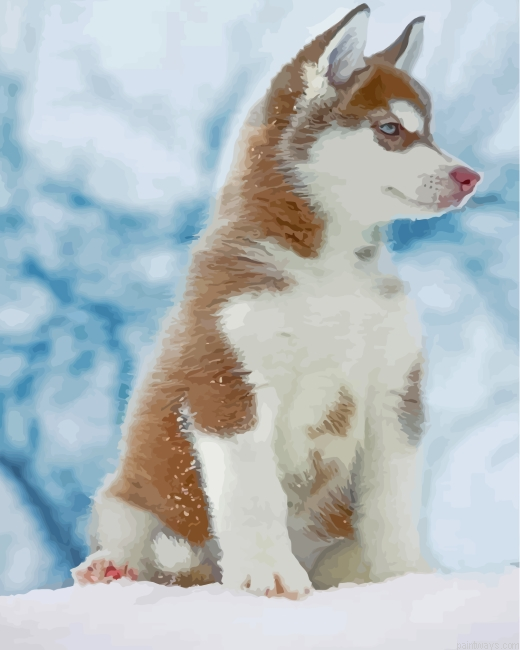 Brown Husky Snow Painting By Numbers.png