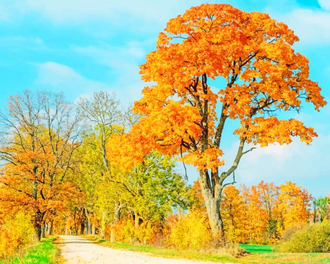 Brown Maples New Painting By Numberss.png