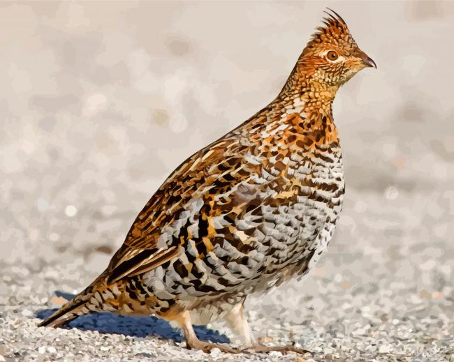 Brown Mottled Grouse Painting By Numberss.png