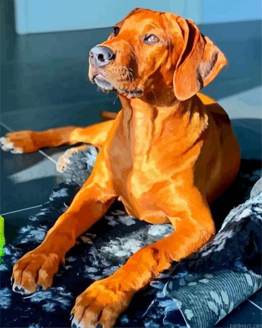 Brown Ridgeback Painting By Numberss.png