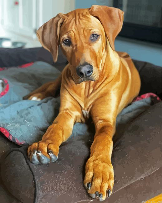 Brown Ridgeback Puppy Painting By Numberss.png