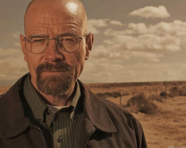 Bryan Cranston Breaking Bad New Painting By Numberss.png