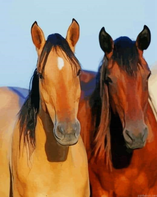 Buckskin Horse And Brown Horse New Painting By Numberss.png