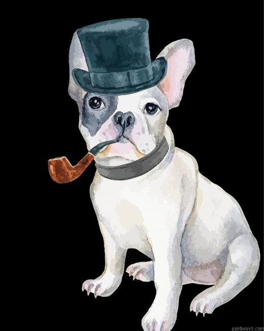 Bulldog With Hat Painting By Numberss.png