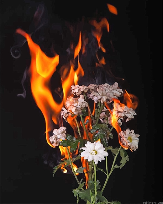 Burning Flowers New Painting By Numberss.png