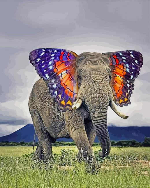 Butterfly Ears Elephant New Painting By Numberss.png