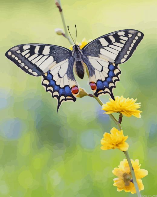 Butterfly In Flowers New Painting By Numberss.png